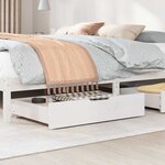 vidaXL Tiroirs sous le lit 2 Pièces blanc 80x55x17 cm bois de pin massif