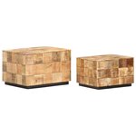 vidaXL Tables basses 2 Pièces avec design de blocs Bois de manguier brut