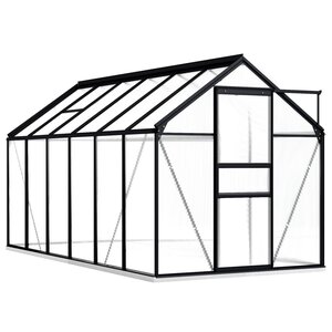 vidaXL Serre avec cadre de base Anthracite Aluminium 7 03 m²