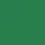 Paquet de 25 feuilles Cartoline 50 x 65 cm 120 g vert foncé