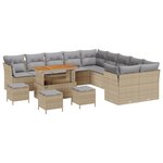 vidaXL Ensemble de Canapé de Jardin de 14 Pièces avec Coussins Beige Poly Rattan Acacia