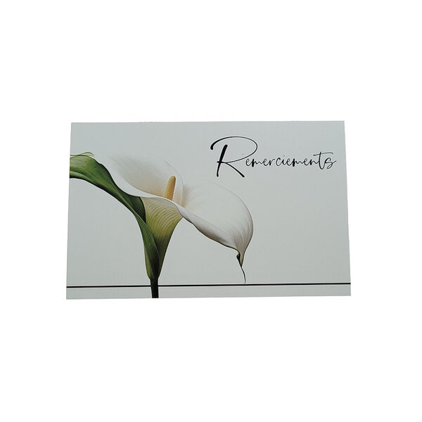 Carte De Voeux - Condoléances - 5 Cartes Remerciements Deuil