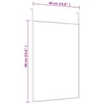 vidaXL Miroir de porte Noir 40x60 cm Verre et aluminium