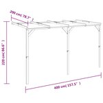 vidaXL Pergola à appentis 2 x 4 x 2 2 m Bois
