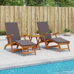 vidaXL Chaise longue inclinable et pliable 2 Pièces Gris 55 x 146 x 91 cm