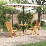vidaXL Ensemble bistro pliant 3 Pièces Marron Bois d'acacia massif