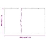 vidaXL Couverture pour plantes Transparent 4 x 12 m PVC