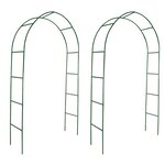 vidaXL Arche de jardin 2 Pièces pour plantes grimpantes