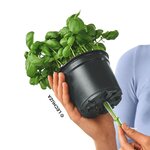 LECHUZA Jardinière de table OJO ALL-IN-ONE Bleu océan