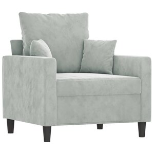 vidaXL Fauteuil Gris clair 60 cm Velours