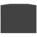 vidaXL Braise Noir 160 x 45 x 35 cm Acier