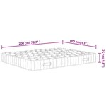 vidaXL Matelas à ressorts ensachés dureté moyenne 160x200 cm