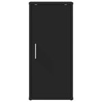 vidaXL Armoires à chaussures 2 Pièces Noir 32x35x70 cm Aggloméré