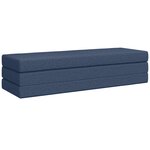 vidaXL Canapé-lit pliable 180 x 67 x 45 cm Bleu