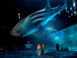 SMARTBOX - Coffret Cadeau Nausicaá : entrée pour 2 adultes et 1 enfant à l'aquarium de Boulogne-sur-Mer en basse saison -  Sport & Aventure