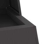 vidaXL Braise Noir 60 x 35 x 100 cm Acier laminé à froid