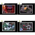Lot de 4 cartes postales - noël 1 - photos frédéric engel