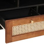 vidaXL Meuble TV Marron 100 x 33 5 x 46 cm Bois de mangue massif