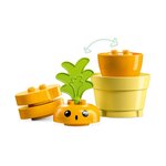 Duplo La carotte qui pousse