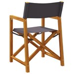 vidaXL Chaises de réalisateur pliables lot de 2 gris foncé tissu