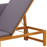 vidaXL Transat 1-personne Marron 200 x 57 x 75cm Bois d'acacia massif