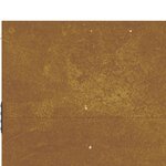 vidaXL Portail de jardin 105x105 cm acier corten