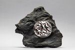 Monnaie ROCK 2 Oz Argent 10$ Cook Islands 2022
