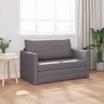 vidaXL Canapé-Lit Gris 124 x 71 x 78 cm Velours
