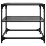 vidaXL Tables basses avec dessus en verre noir 2 Pièces 50x50x45 cm acier
