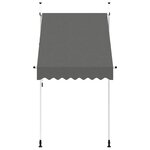 vidaXL Auvent manuel rétractable 150 cm Anthracite