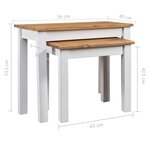 vidaXL Tables gigognes 2Pièces Blanc Bois pin massif Assortiment Panama