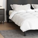 vidaXL Couette Blanc 240 x 260 cm Plume