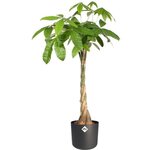 B.for Soft Pot de fleurs rond 25 - Noir Ø 25 x 23 cm
