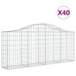 vidaXL Paniers à gabions arqués 40 Pièces 200x30x80/100 cm Fer galvanisé