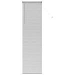 vidaXL Store de Fenêtre avec des rideaux Autre Argenté 60 x 220 cm Aluminium