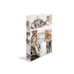 Classeur 2 Anneaux A4 Dos de 35 mm 'Animals' - chats HERMA
