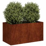 vidaXL Jardinière rouillé 80x40x40 cm acier inoxydable