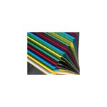 Trieur CL dos extens.ss élas.12C bleu EXACOMPTA