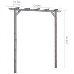 vidaXL Pergola de jardin Gris 200x40x205 cm Bois de pin imprégné