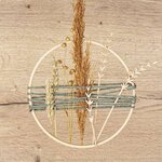 Tige de Glaïeul en bois 20 cm