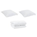 vidaXL Duvet d'hiver avec oreiller 3 Pièces Blanc 260 x 220 cm Microfibre