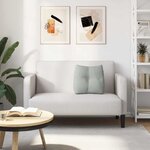 vidaXL Coussin de Dos Gris clair 45 x 24 x 50 cm Velours