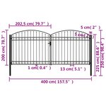 vidaXL Portillon double porte avec dessus arqué Acier 400x200 cm Noir