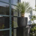 Capi Jardinière Nature Rib 35x34 cm noir KBLR932