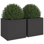 vidaXL Jardinières 2 Pièces noir 49x47x46 cm acier