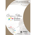 Etui de 5 cartes pliées grain de pollen 105x148 ficelle clairefontaine