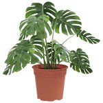 vidaXL Pot à fleurs rond 6 Pièces Rouge brique Ø 19 x 16 cm Plastique