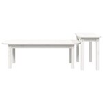vidaXL Ensemble de tables basses 2 Pièces Blanc Bois massif de pin
