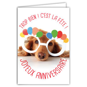 Carte Joyeux Anniversaire Humoristique avec Enveloppe Illustrée format 17 5x12cm Chien Drôle Amusant Rigolo Déguisé avec des Lunettes pour faire la Fête - Création Fabrication française 69-6201