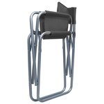 vidaXL Chaises de metteur en scène lot de 2 Acier Gris
